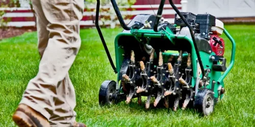 Lawn Aeration & Overseeding , Lawn Fertilization, Lawn Care, Lawn Mowing, Grass Cutting, Lawn Maintenance, Lawn Care Business Lawn Aeration & Overseeding , Lawn Fertilization, Lawn Care, Lawn Mowing, Grass Cutting, Lawn Maintenance, Lawn Care Business