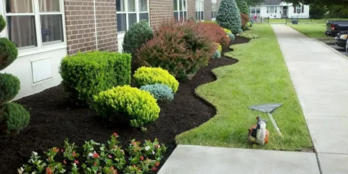 Landscaping, Landscaping Company, Landscaping Contractor, Landscaping Company Landscaping, Landscaping Company, Landscaping Contractor, Landscaping Company