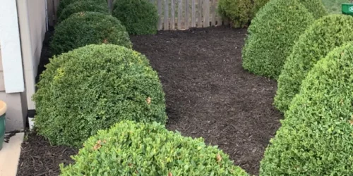 Landscaping, Landscaping Company, Landscaping Contractor, Landscaping Company Landscaping, Landscaping Company, Landscaping Contractor, Landscaping Company