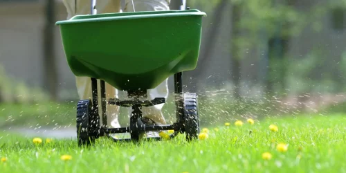 Weed Control Weed Control