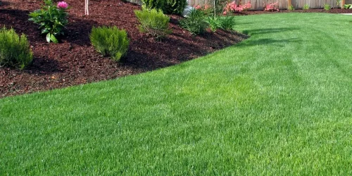 Lawn Maintenance Lawn Maintenance