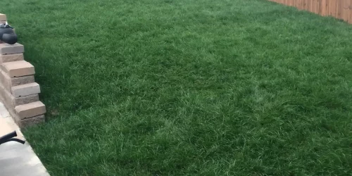 Sod Installation, Sod Installer, New Sod, Sod Company, Sod Contractor Sod Installation, Sod Installer, New Sod, Sod Company, Sod Contractor