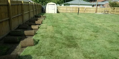 Sod Installation, Sod Installer, New Sod, Sod Company, Sod Contractor Sod Installation, Sod Installer, New Sod, Sod Company, Sod Contractor