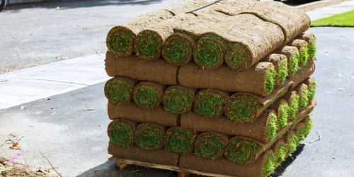 Sod Installation, Sod Installer, New Sod, Sod Company, Sod Contractor Sod Installation, Sod Installer, New Sod, Sod Company, Sod Contractor