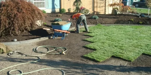 Sod Installation, Sod Installer, New Sod, Sod Company, Sod Contractor Sod Installation, Sod Installer, New Sod, Sod Company, Sod Contractor